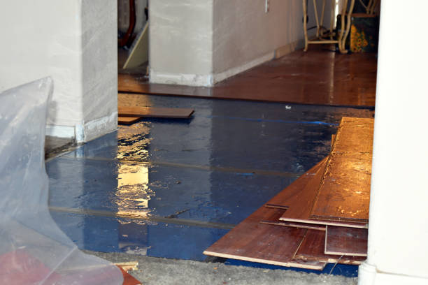 Professional Flood Damage Restoration technician working in Collinsville, TX